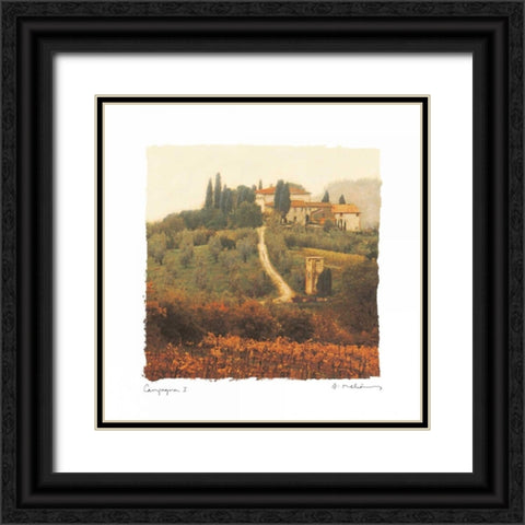 Campagna I Black Ornate Wood Framed Art Print with Double Matting by Melious, Amy