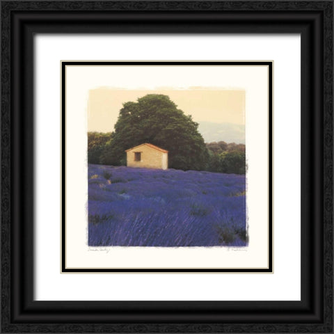 Lavender Country Black Ornate Wood Framed Art Print with Double Matting by Melious, Amy