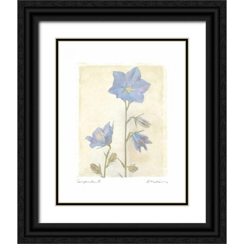 Campanula II Black Ornate Wood Framed Art Print with Double Matting by Melious, Amy