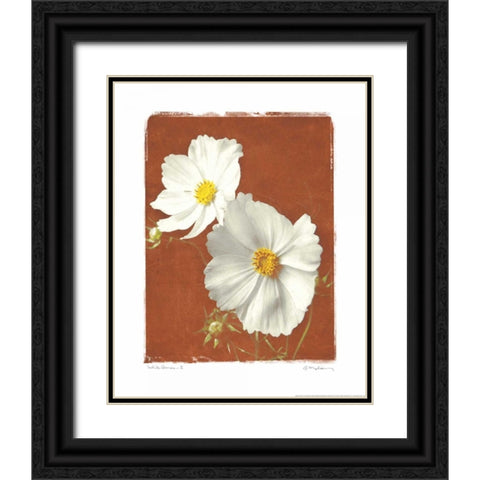 White Cosmos II Black Ornate Wood Framed Art Print with Double Matting by Melious, Amy