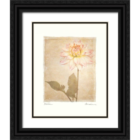 Dahlia Black Ornate Wood Framed Art Print with Double Matting by Melious, Amy