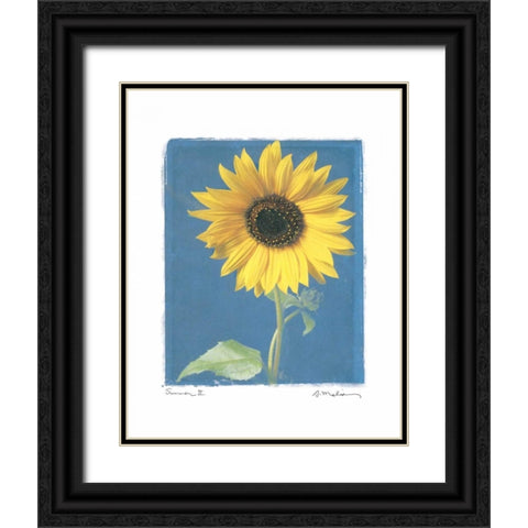 Summer II Black Ornate Wood Framed Art Print with Double Matting by Melious, Amy