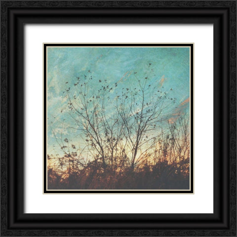 Wild Grass II Black Ornate Wood Framed Art Print with Double Matting by Melious, Amy