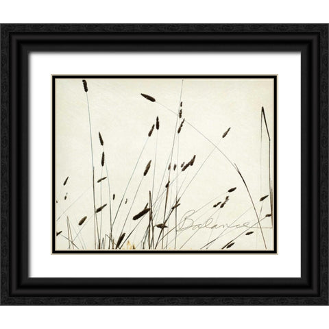 Grass Balance Black Ornate Wood Framed Art Print with Double Matting by Melious, Amy