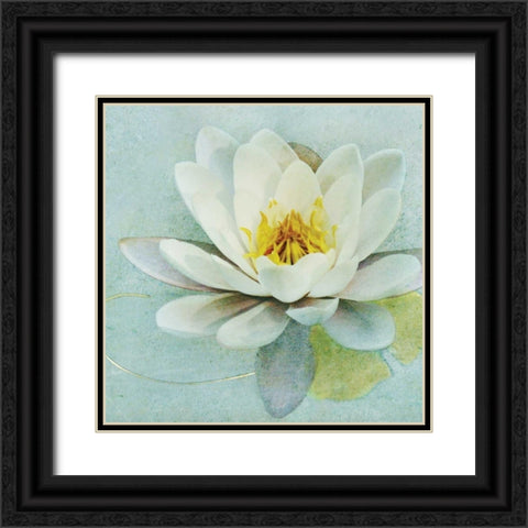 Magnolia Sq. Black Ornate Wood Framed Art Print with Double Matting by Melious, Amy