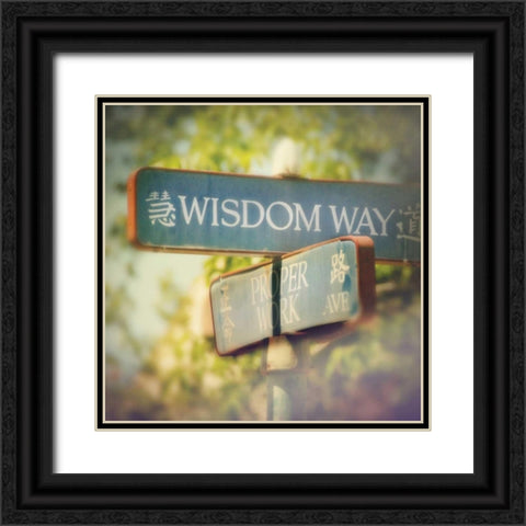 Wisdom Black Ornate Wood Framed Art Print with Double Matting by Melious, Amy