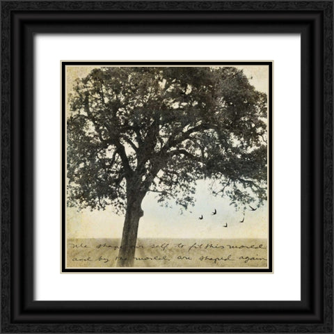 Under the Trees I Black Ornate Wood Framed Art Print with Double Matting by Melious, Amy