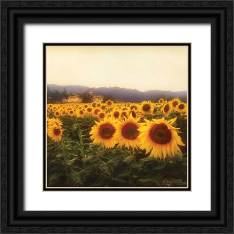 Tuscan Sunflowers Black Ornate Wood Framed Art Print with Double Matting by Melious, Amy