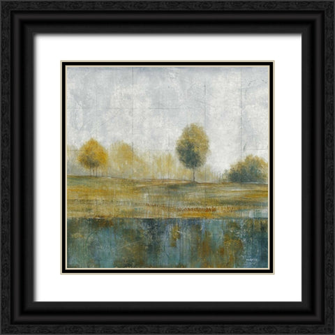 Stormy Weather III Black Ornate Wood Framed Art Print with Double Matting by Martin, Cheryl