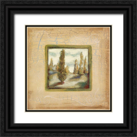 Summer Light I Black Ornate Wood Framed Art Print with Double Matting by Osborne, Susan