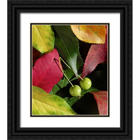 Fall Colors I Black Ornate Wood Framed Art Print with Double Matting by Burkhart, Monika