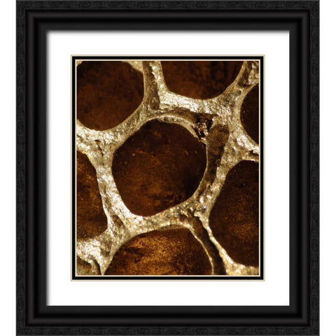 Lotus Pods I Black Ornate Wood Framed Art Print with Double Matting by Burkhart, Monika