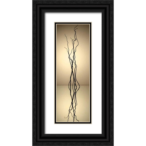 Still Life Reflections IV Black Ornate Wood Framed Art Print with Double Matting by Burkhart, Monika