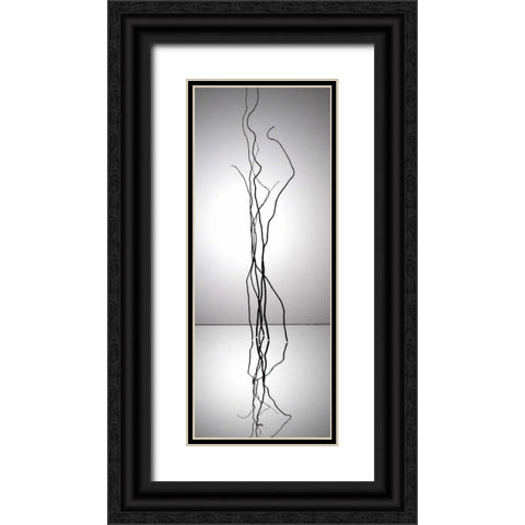 Natures Reflections I Black Ornate Wood Framed Art Print with Double Matting by Burkhart, Monika