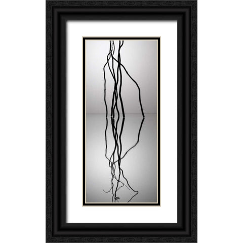 Natures Reflections II Black Ornate Wood Framed Art Print with Double Matting by Burkhart, Monika