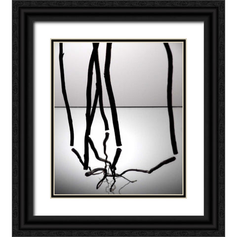Natures Reflections III Black Ornate Wood Framed Art Print with Double Matting by Burkhart, Monika