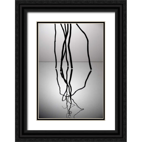Natures Reflections V Black Ornate Wood Framed Art Print with Double Matting by Burkhart, Monika
