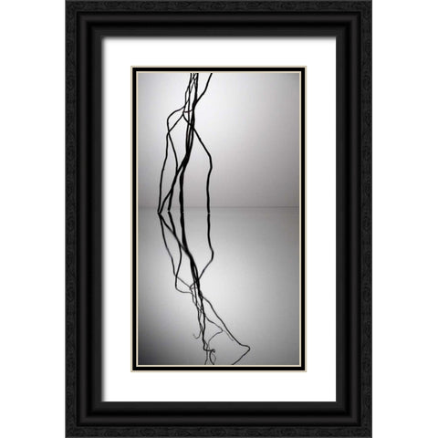 Natures Reflections VI Black Ornate Wood Framed Art Print with Double Matting by Burkhart, Monika