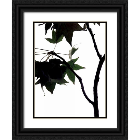 Maple Branch IV Black Ornate Wood Framed Art Print with Double Matting by Burkhart, Monika