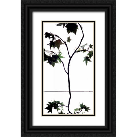Maple Branch V Black Ornate Wood Framed Art Print with Double Matting by Burkhart, Monika