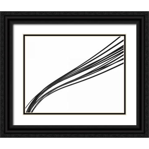 Swoop I Black Ornate Wood Framed Art Print with Double Matting by Burkhart, Monika