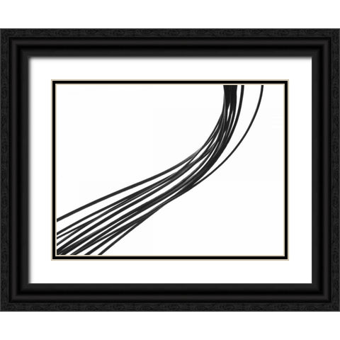 Swoop II Black Ornate Wood Framed Art Print with Double Matting by Burkhart, Monika