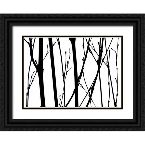 Branch Silhouette V Black Ornate Wood Framed Art Print with Double Matting by Burkhart, Monika