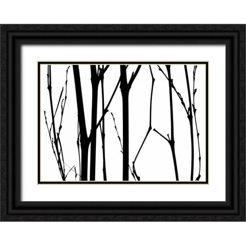 Branch Silhouette VI Black Ornate Wood Framed Art Print with Double Matting by Burkhart, Monika