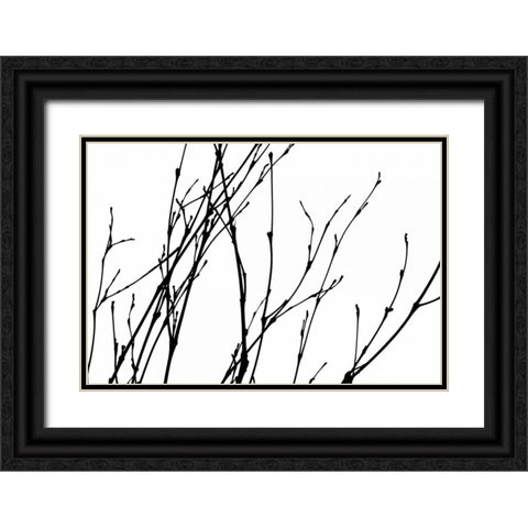 Dancing Branches I Black Ornate Wood Framed Art Print with Double Matting by Burkhart, Monika