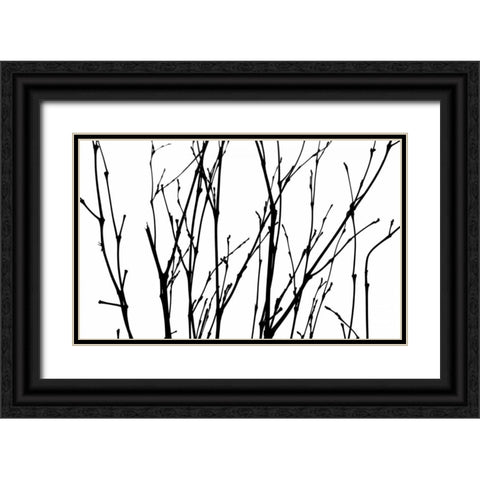 Dancing Branches II Black Ornate Wood Framed Art Print with Double Matting by Burkhart, Monika
