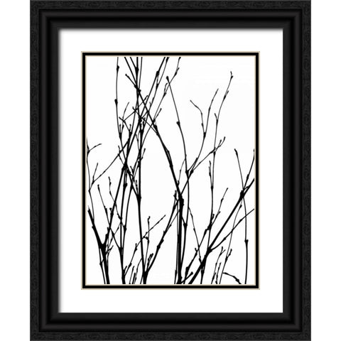 Dancing Branches III Black Ornate Wood Framed Art Print with Double Matting by Burkhart, Monika