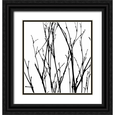 Dancing Branches V Black Ornate Wood Framed Art Print with Double Matting by Burkhart, Monika