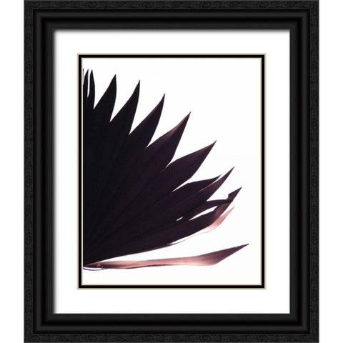 Backlit I Black Ornate Wood Framed Art Print with Double Matting by Burkhart, Monika