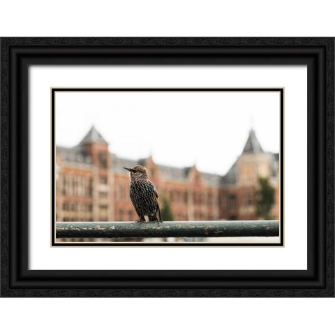 Perched II Black Ornate Wood Framed Art Print with Double Matting by Berzel, Erin