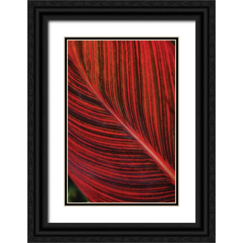 Red Leaf I Black Ornate Wood Framed Art Print with Double Matting by Berzel, Erin