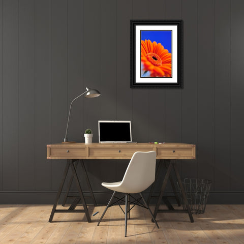 Compliments II Black Ornate Wood Framed Art Print with Double Matting by Berzel, Erin