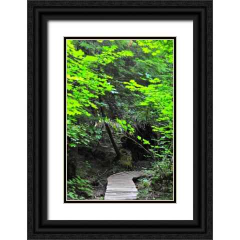 Afternoon Hike II Black Ornate Wood Framed Art Print with Double Matting by Berzel, Erin