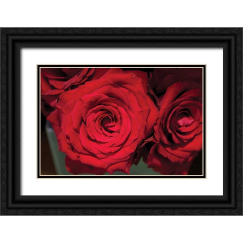 Red Roses Black Ornate Wood Framed Art Print with Double Matting by Berzel, Erin