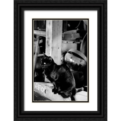 Farm Cat Black Ornate Wood Framed Art Print with Double Matting by Berzel, Erin