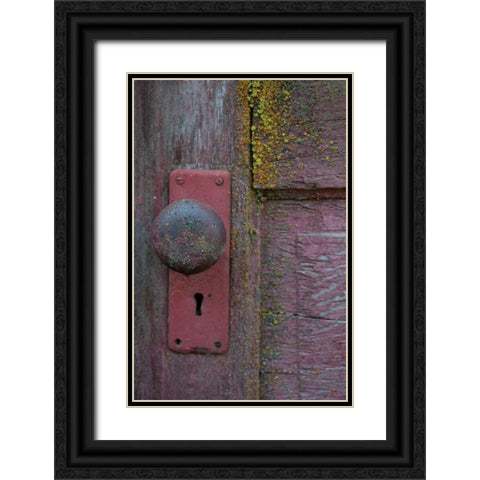 Barn Door Black Ornate Wood Framed Art Print with Double Matting by Berzel, Erin