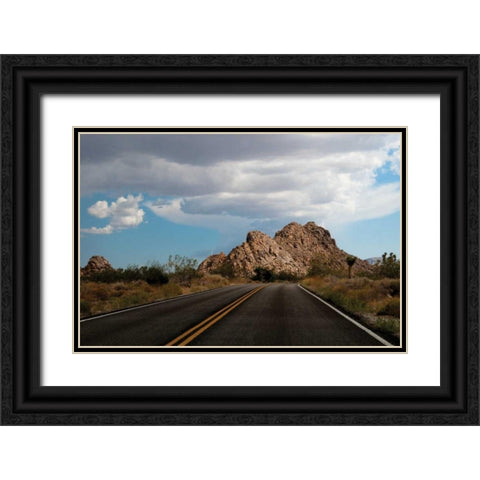 Joshua Tree National Park I Black Ornate Wood Framed Art Print with Double Matting by Berzel, Erin