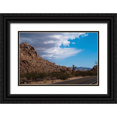 Joshua Tree National Park II Black Ornate Wood Framed Art Print with Double Matting by Berzel, Erin