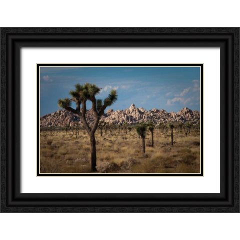Rock Formations II Black Ornate Wood Framed Art Print with Double Matting by Berzel, Erin