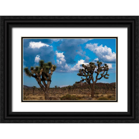 Blue Sky I Black Ornate Wood Framed Art Print with Double Matting by Berzel, Erin
