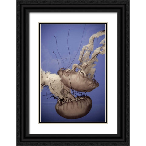 In the Water I Black Ornate Wood Framed Art Print with Double Matting by Berzel, Erin