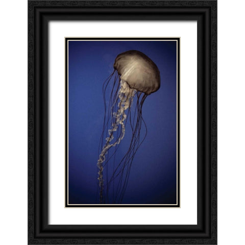 In the Water II Black Ornate Wood Framed Art Print with Double Matting by Berzel, Erin
