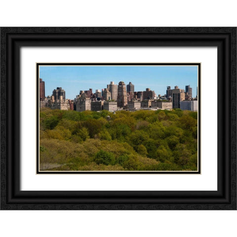 Central Park II Black Ornate Wood Framed Art Print with Double Matting by Berzel, Erin