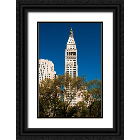 Madison Square Park Black Ornate Wood Framed Art Print with Double Matting by Berzel, Erin