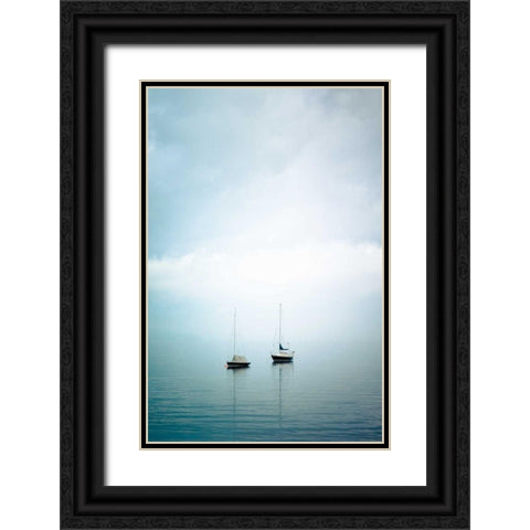 Whidbey Island III Black Ornate Wood Framed Art Print with Double Matting by Berzel, Erin