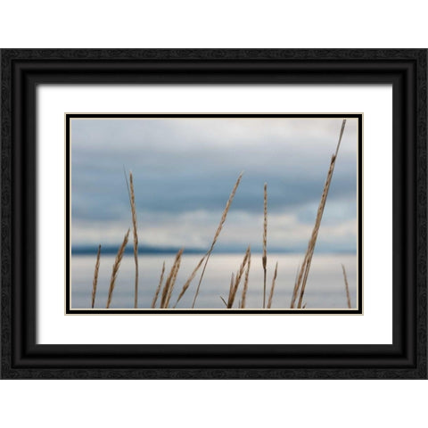 Whidbey Grass I Black Ornate Wood Framed Art Print with Double Matting by Berzel, Erin